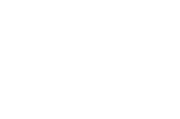 light logo